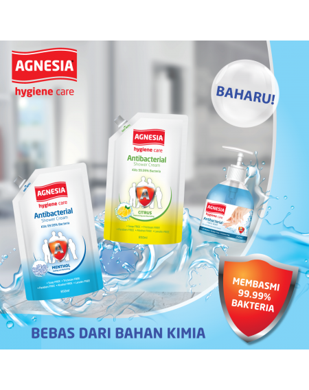 Agnesia Hygiene Care Antibacterial Shower Cream (Menthol) 850ml