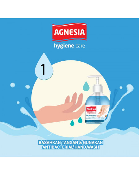 Agnesia Hygiene Care Antibacterial Hand Wash 250ml