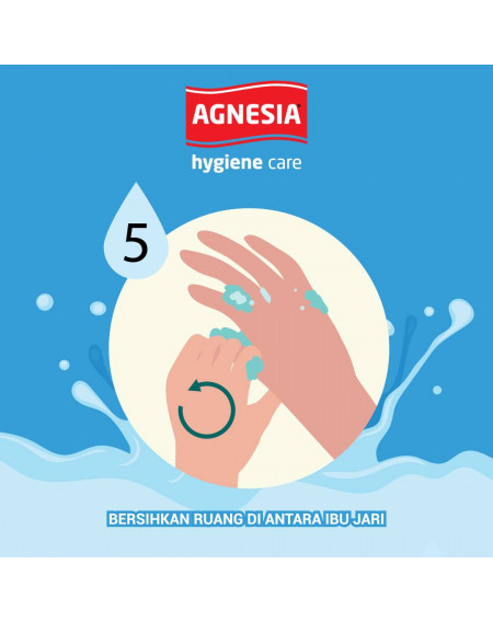 Agnesia Hygiene Care Antibacterial Hand Wash 250ml